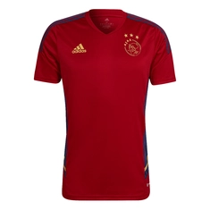 Integraal Naleving van proza Ajax kleding online kopen | Sportpaleis.nl