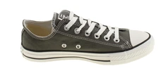 Converse All Star Low Canvas