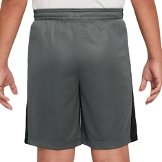 Nike Dri-FIT Academy23 Short