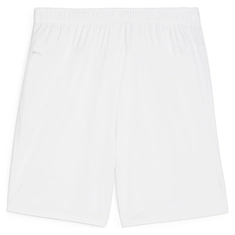 Puma TeamGOAL Short