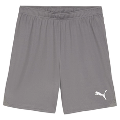 Puma TeamGOAL Short